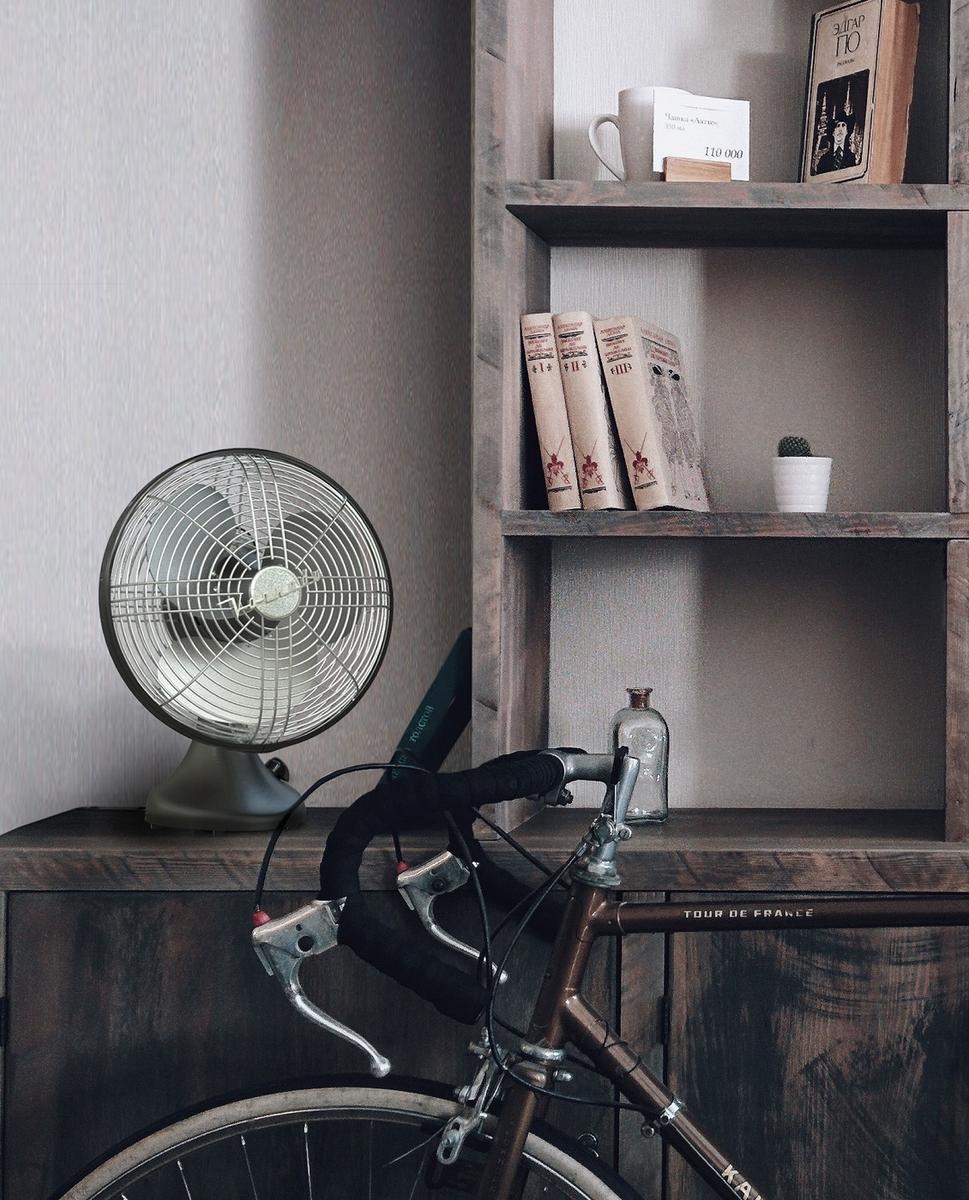 Vornado Silver Swan S Retro Oscillating Fan