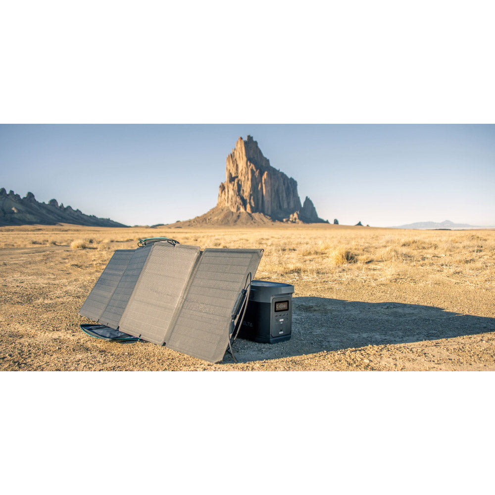  EcoFlow Delta 1000 Portable Power Station - Gray & Black