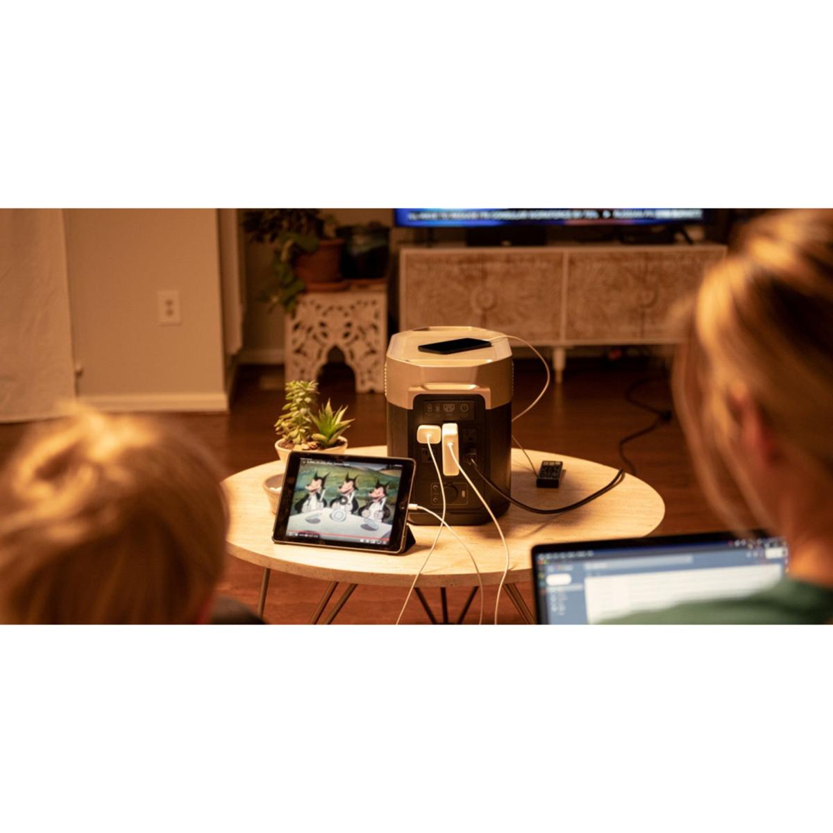  EcoFlow Delta Max 2000 Portable Power Station