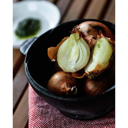  Snow Peak Cast Iron Micro Pot
