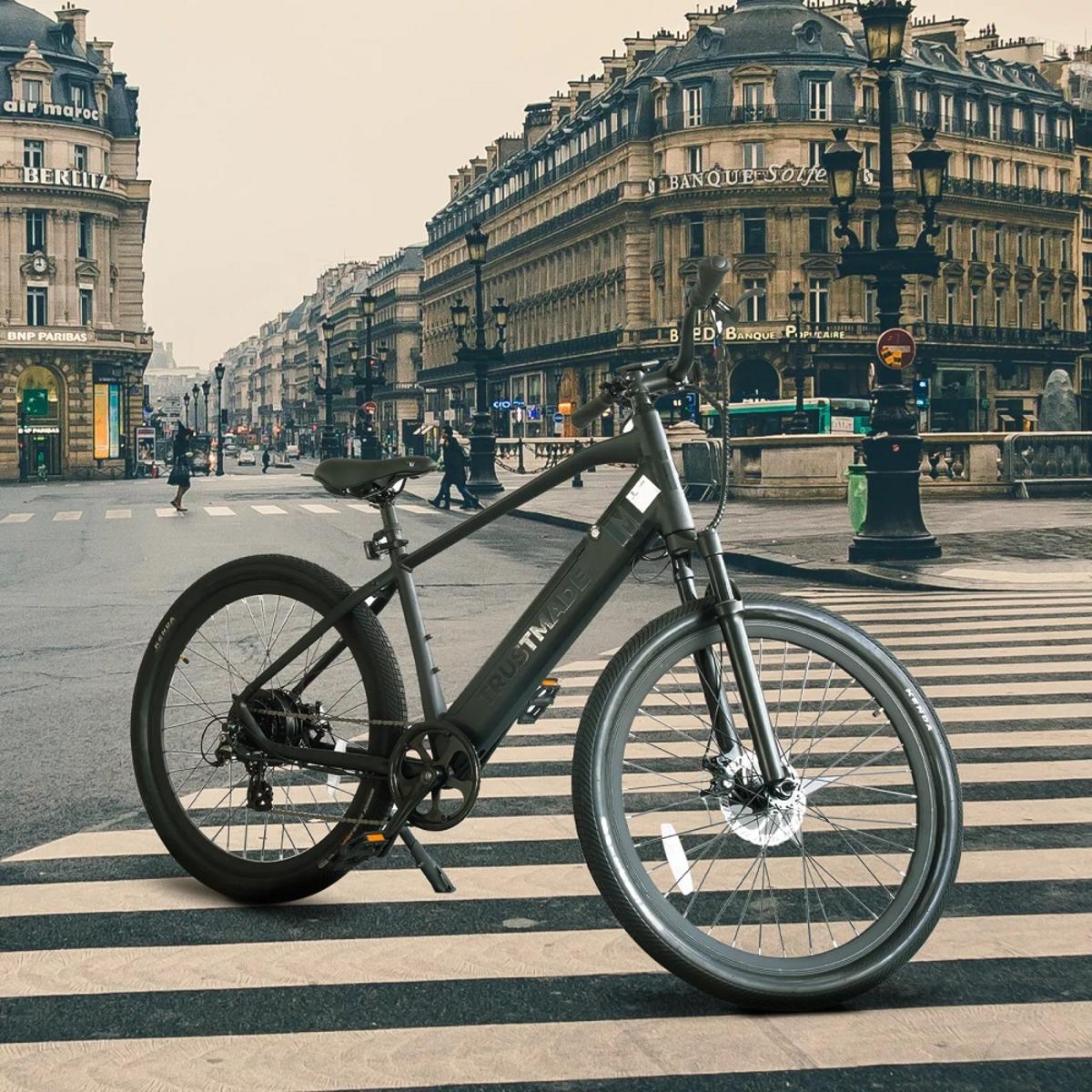  Trustmade Bobcat Ebike